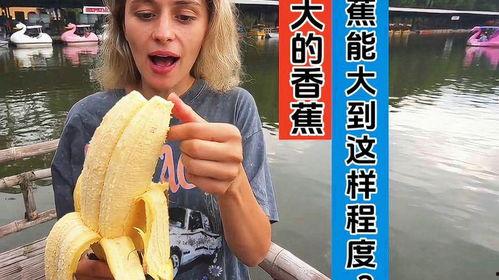 国产视频大香蕉,揭秘国内影视产业的魅力与挑战 第2张 国产视频大香蕉,揭秘国内影视产业的魅力与挑战 第2张